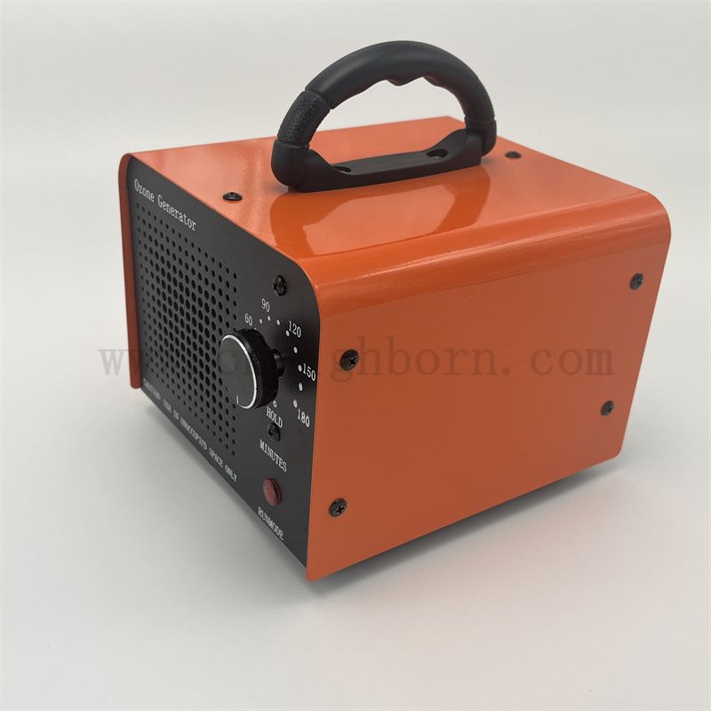Portable 110V 220V 10g / h 20g / h O3 Purificateurs d'air Machine de générateur d'ozone Déodorizante pour ménage 