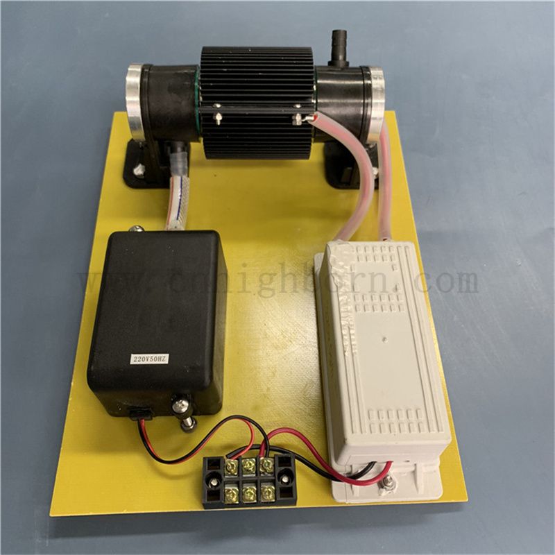 Générateur de désinfection 110V 10g / h Ozone O3 Machine de stérilisation pour le traitement de l'eau