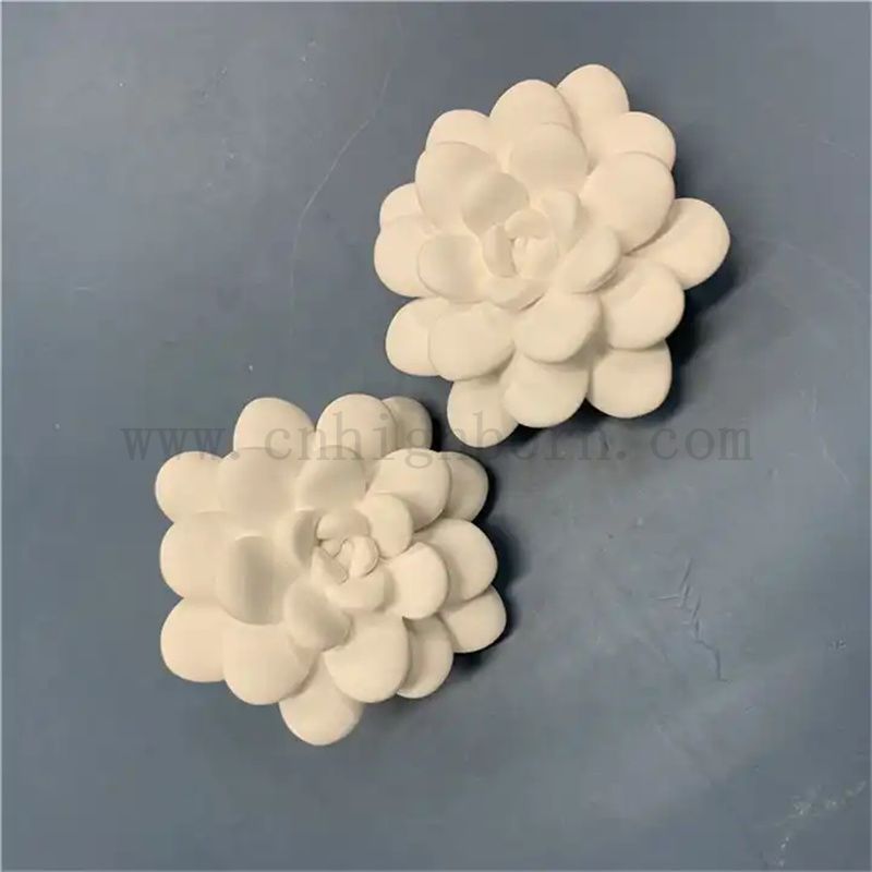 Modèle succulent personnalisé Pièces de diffuseurs essentiels en plâtre parfumés