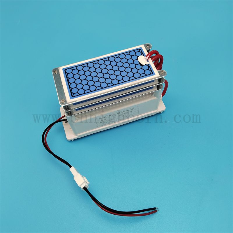 Feuille en céramique 15g / h Module générateur d'ozone pour la machine à ozonator pour filtre à air