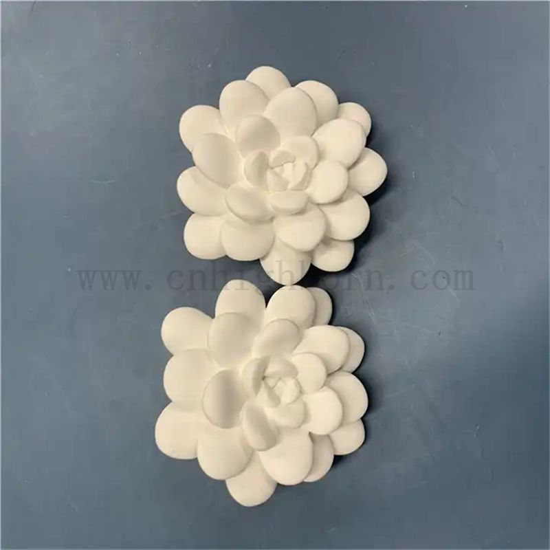 Modèle succulent personnalisé Pièces de diffuseurs essentiels en plâtre parfumés