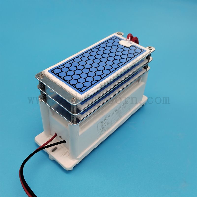 Feuille en céramique 15g / h Module générateur d'ozone pour la machine à ozonator pour filtre à air