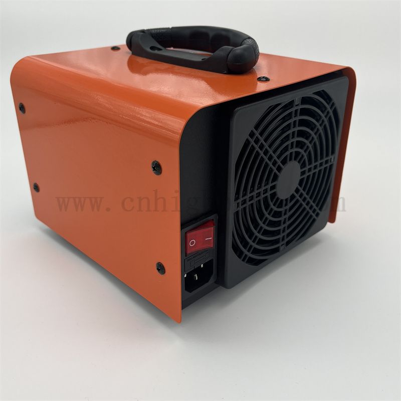 Portable 110V 220V 10g / h 20g / h O3 Purificateurs d'air Machine de générateur d'ozone Déodorizante pour ménage 