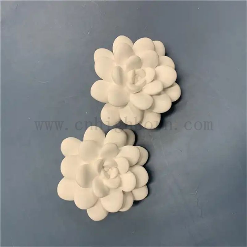 Modèle succulent personnalisé Pièces de diffuseurs essentiels en plâtre parfumés