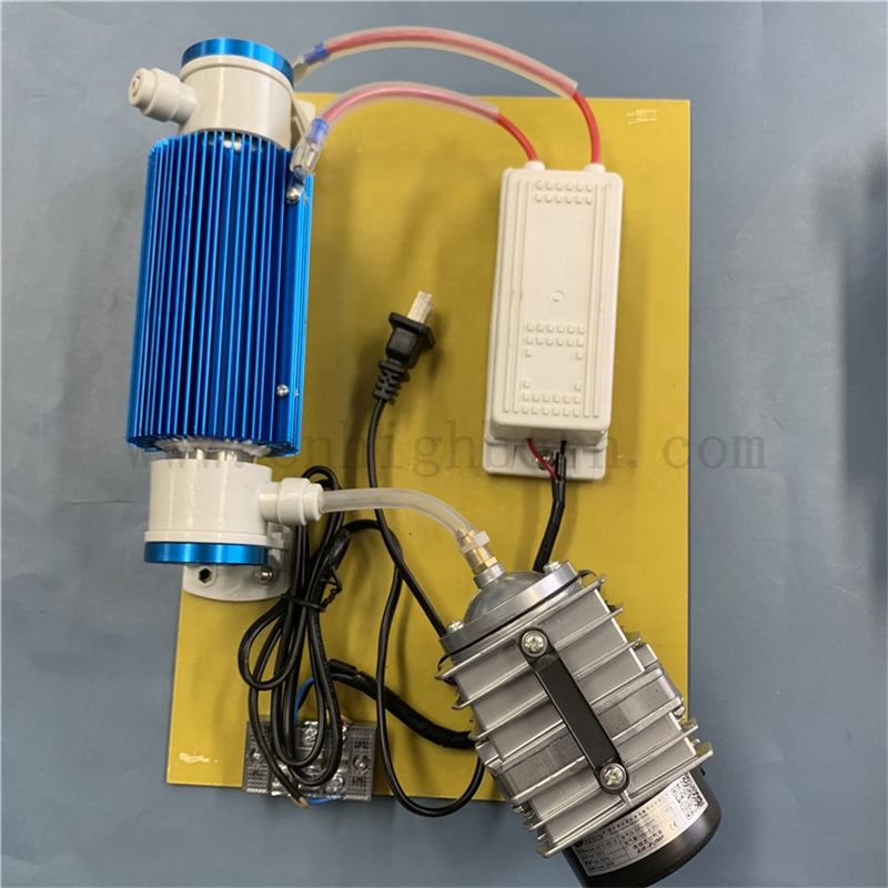 Purificateur d'eau 220 V personnalisé 220 V 15g / h Purificateur d'eau Ozonator Module 