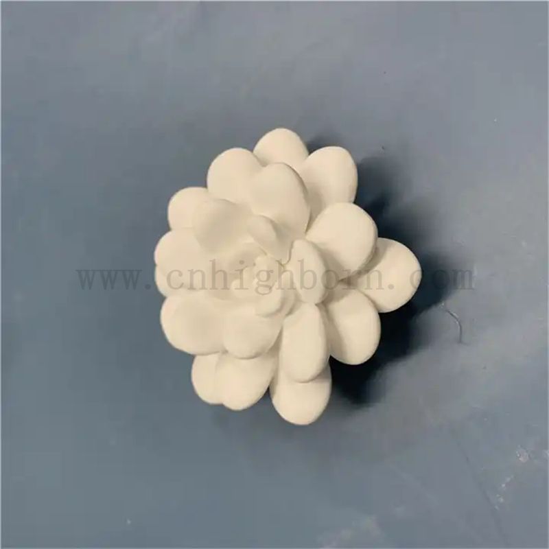 Modèle succulent personnalisé Pièces de diffuseurs essentiels en plâtre parfumés