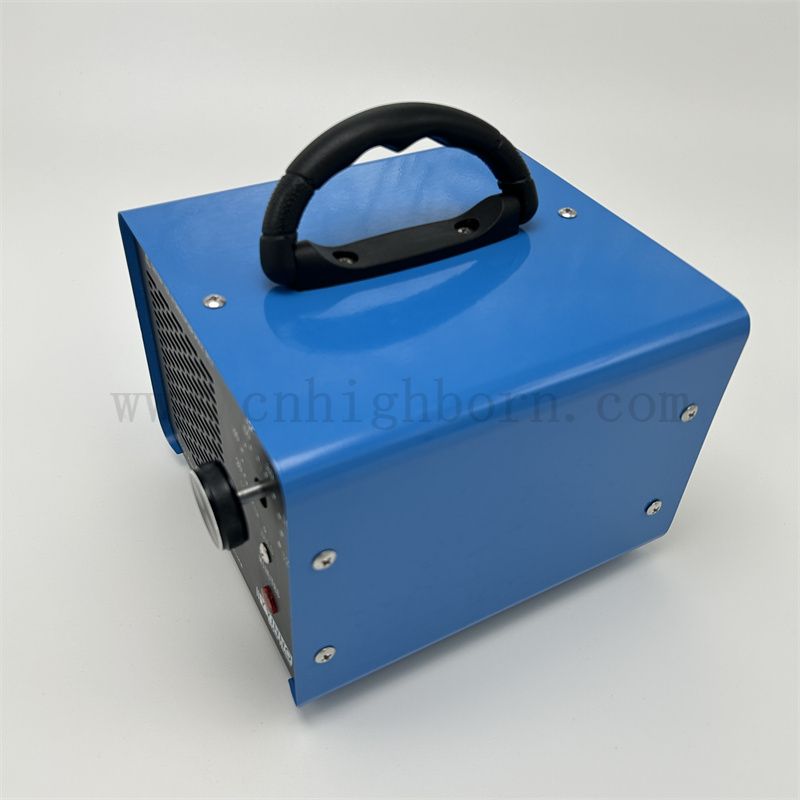 Dispositif d'ozone 220V 10 000 mg / h avec minuterie Blue Ozono Generator Machine O3 Purificateur d'air pour la maison