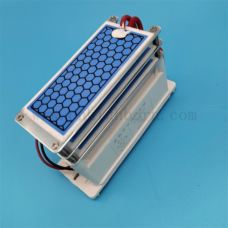 Feuille en céramique 15g / h Module générateur d'ozone pour la machine à ozonator pour filtre à air