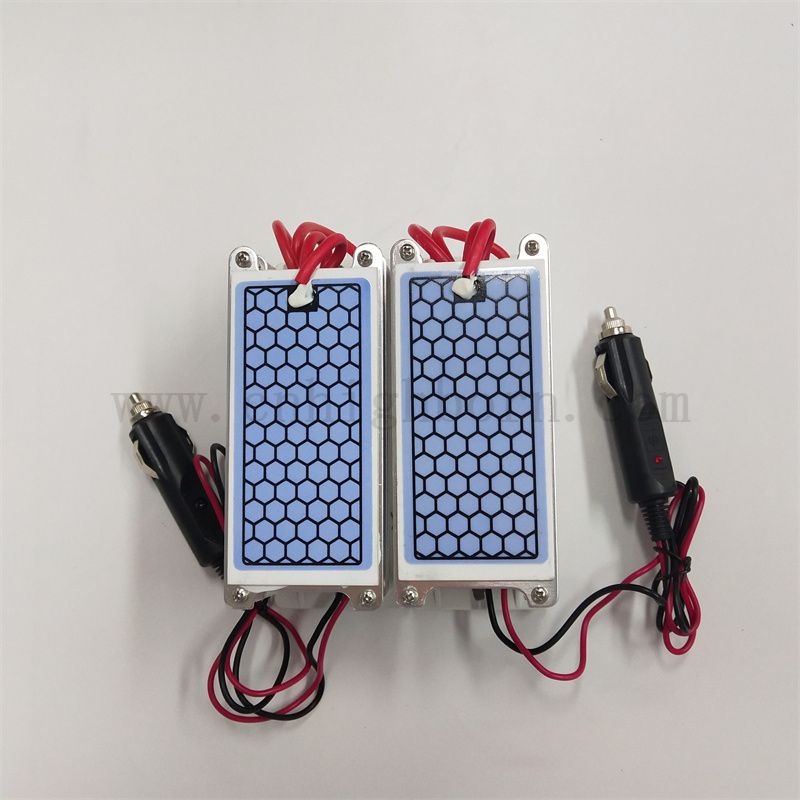 Kit de générateur d'ozone 12V 10g / H