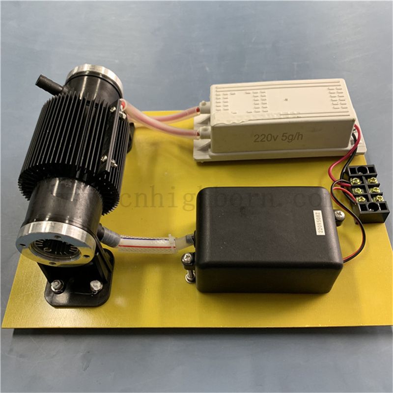 Générateur de désinfection 110V 10g / h Ozone O3 Machine de stérilisation pour le traitement de l'eau