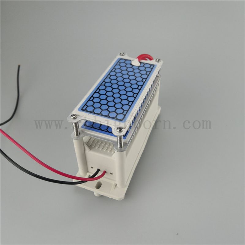 Dissipation de chaleur rapide en céramique module de générateur d'ozone 220V 10g / h ozonizer