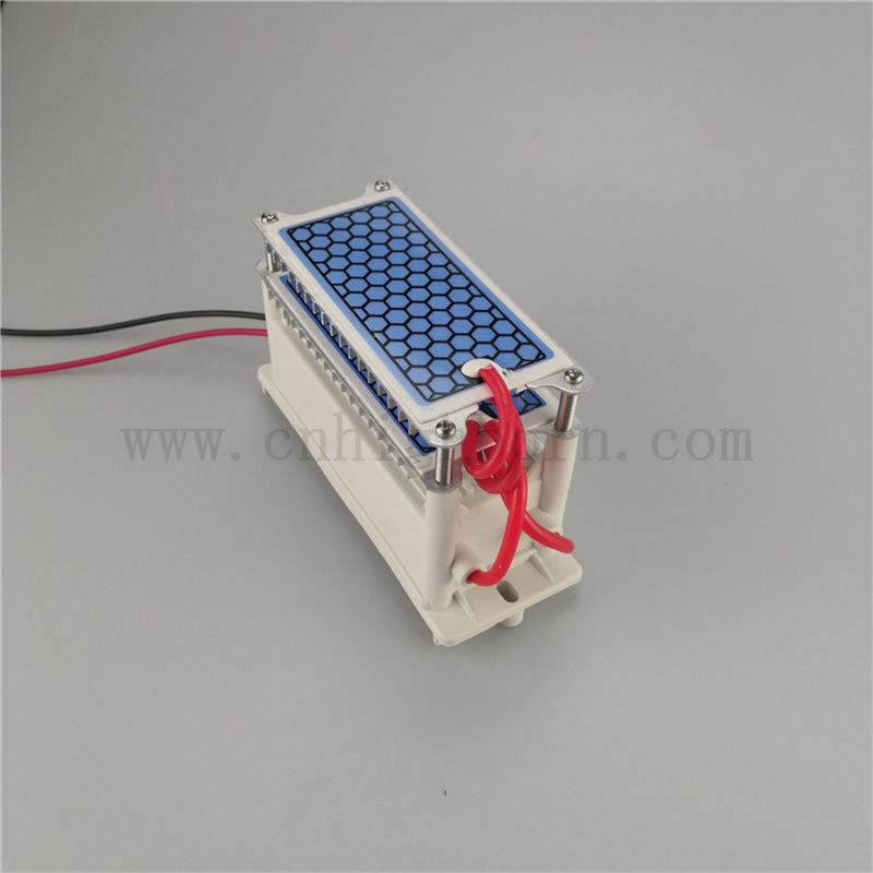 Dissipation de chaleur rapide en céramique module de générateur d'ozone 220V 10g / h ozonizer