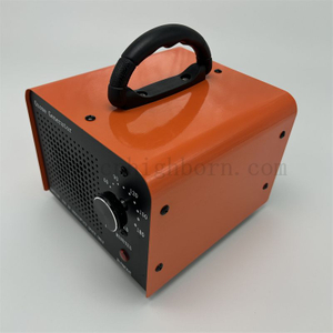 Machine commerciale de générateur d'o3 220V 10 g/H, purificateur d'air Portable, stérilisateur de désodorisation à l'ozone