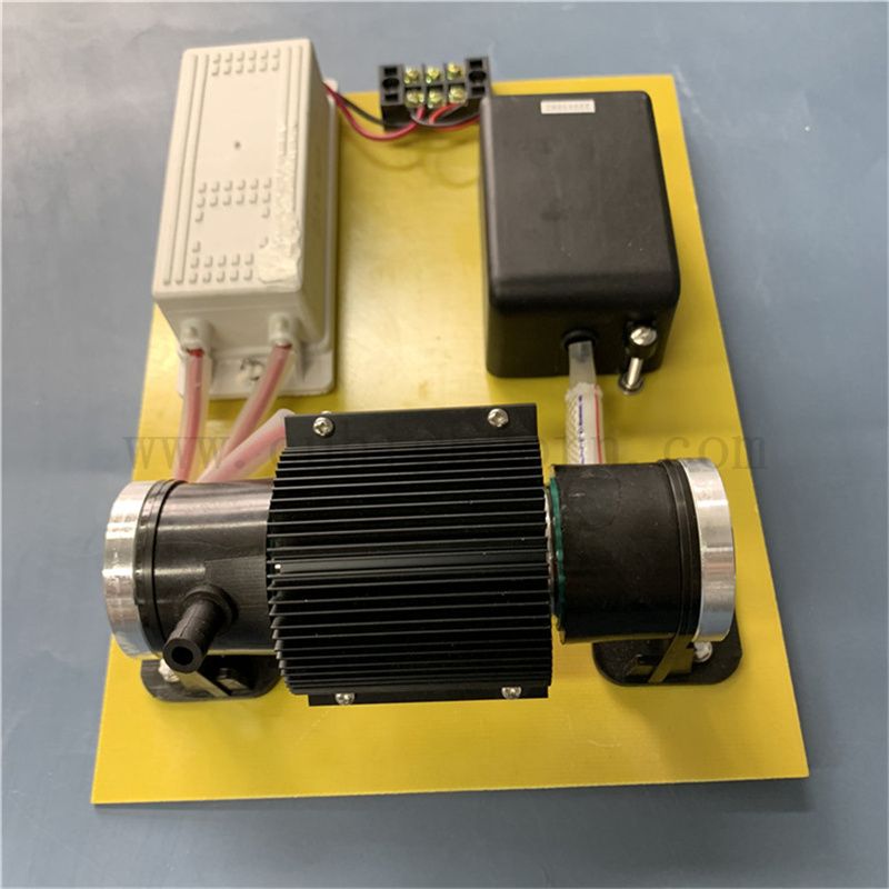 Générateur de désinfection 110V 10g / h Ozone O3 Machine de stérilisation pour le traitement de l'eau