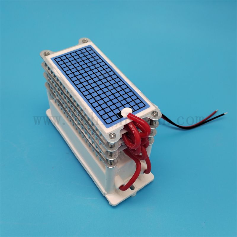 Pièces de rechange Ozone Machine 220V 40g / h 60g / h Plaque en céramique Purificateur d'air du module de générateur Ozonator Purificateur