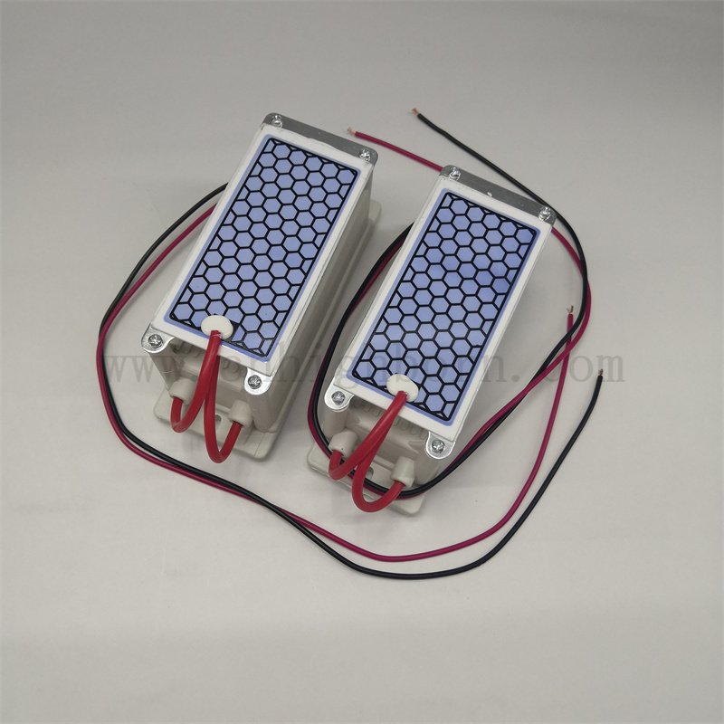 220 V 5G / h Purification d'air Plate de céramique Plaque de céramique Module de générateur d'ozone