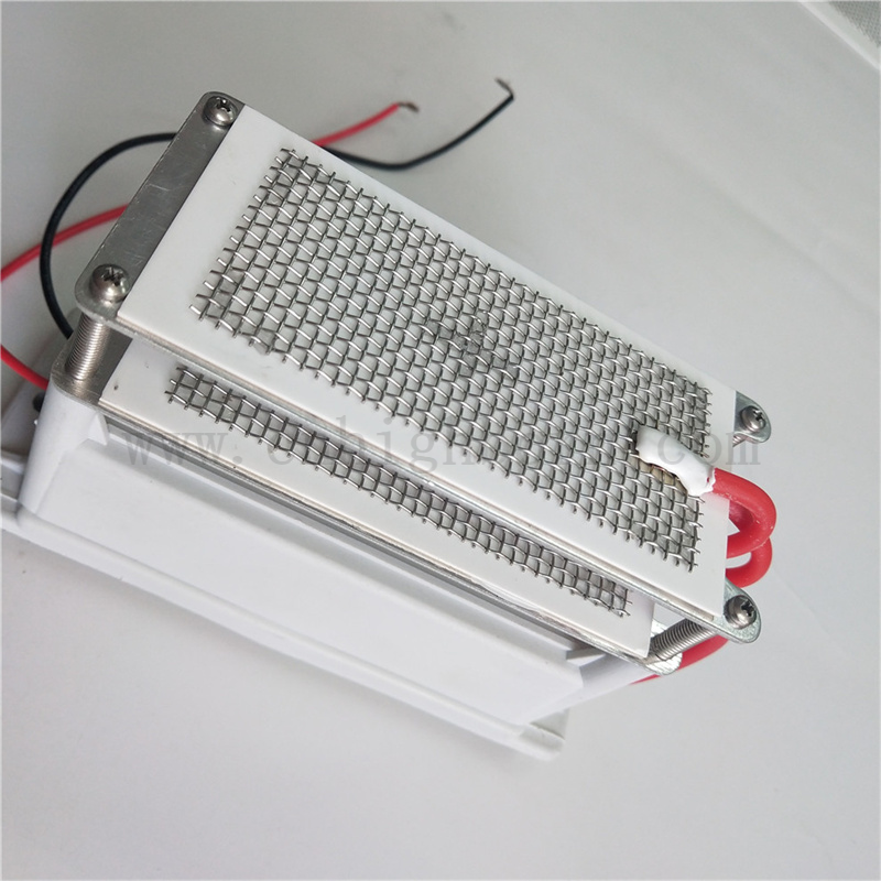 220 V 10g / h Mesh métallique Plaque en céramique MODULE GÉNÉRATEUR OZONE