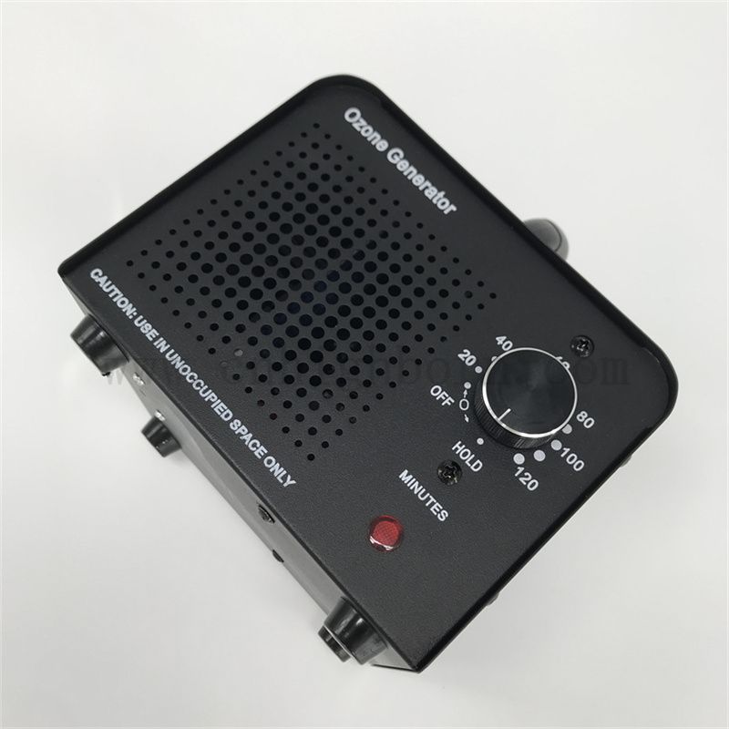 Machine de générateur de désinfection de plaque de céramique remplaçable Ozone 110V 10 000 mg / h Stérilisateur d'ozone refroidi à l'air