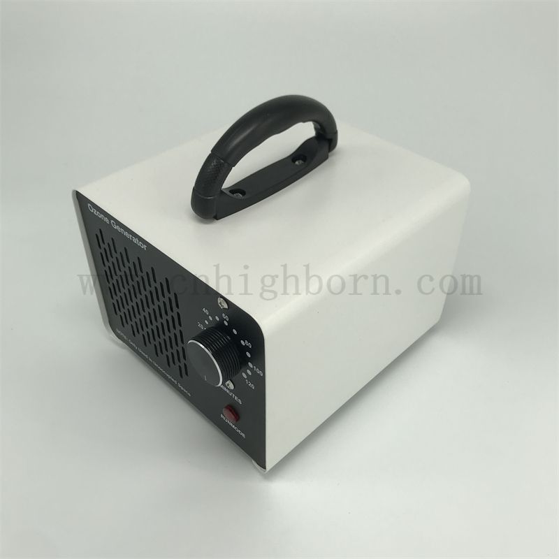 Stériliseur d'ozone portable 110V 10G 20G 28G Purification d'air Générateur de désinfection Ozone Machine Ozonizer