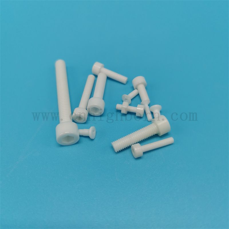 Personnalisé 95% 99% Vis en céramique d'alumine AL2O3 avec écrous