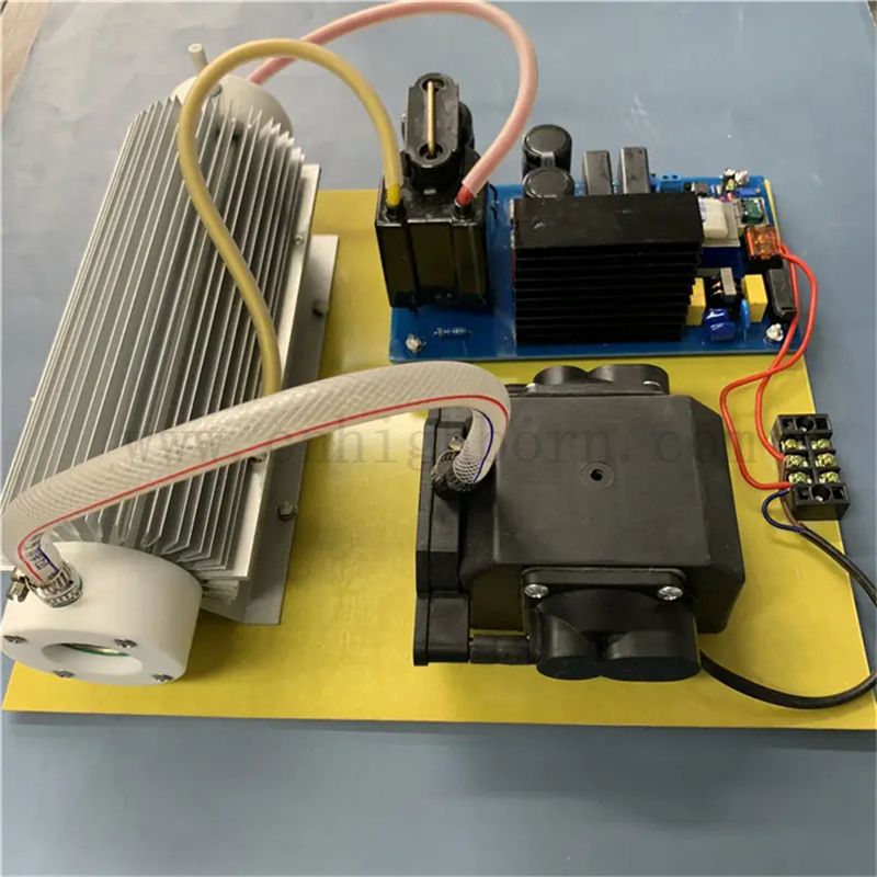 Module de stérilisation du générateur d'ozone multi-fonctionnel 220 V 20g pour le traitement de l'eau 