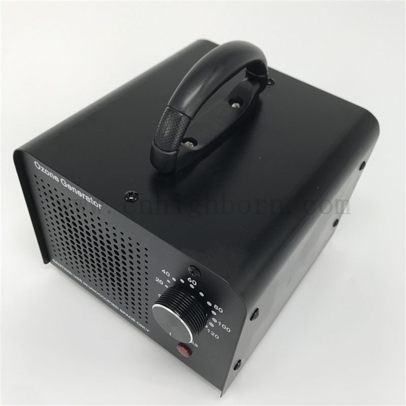 Machine de générateur de désinfection de plaque de céramique remplaçable Ozone 110V 10 000 mg / h Stérilisateur d'ozone refroidi à l'air