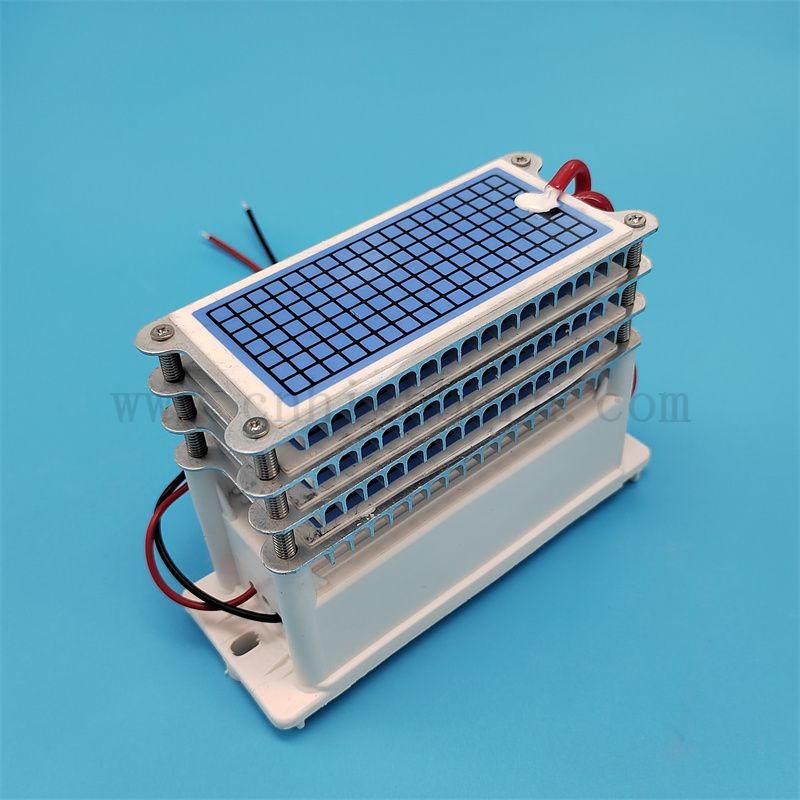 Pièces de rechange Ozone Machine 220V 40g / h 60g / h Plaque en céramique Purificateur d'air du module de générateur Ozonator Purificateur