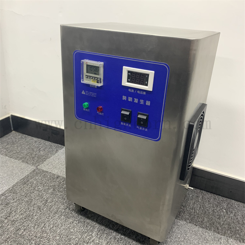 Personnalisé 220 tension 10g / h Ozone Générateur d'air Purificateur de désinfection Machine de désinfection