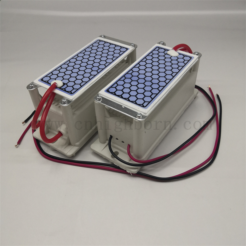 220 V 5G / h Purification d'air Plate de céramique Plaque de céramique Module de générateur d'ozone