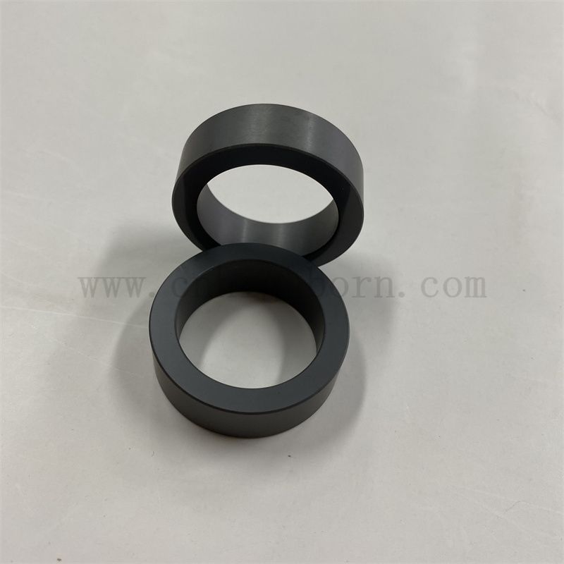 SSIC SCELTER SCELT PART SILICON CARBUDE RINGS CERAMIQUE À FAIBLE FRICTURE