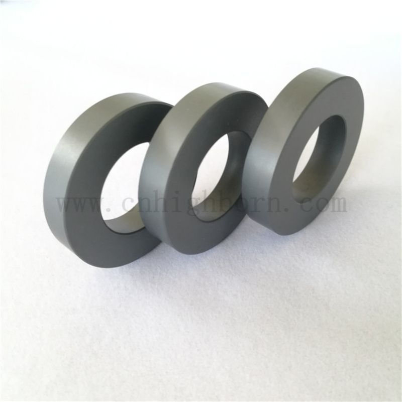 Porter une boucle de cercle sic en carbure de silicium résistant en silicium