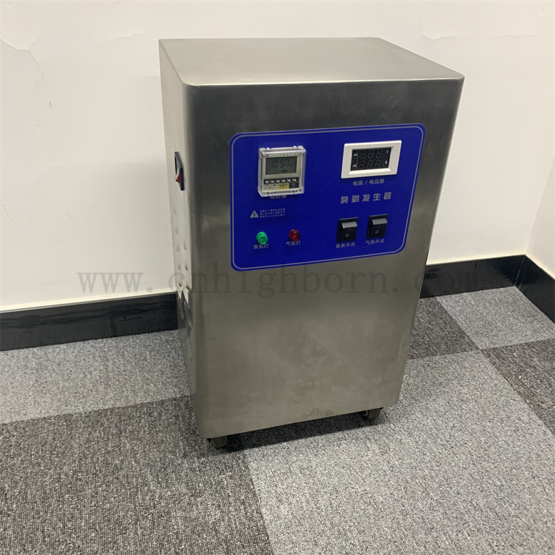 Personnalisé 220 tension 10g / h Ozone Générateur d'air Purificateur de désinfection Machine de désinfection