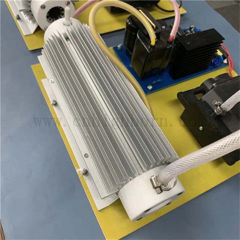 Module de stérilisation du générateur d'ozone multi-fonctionnel 220 V 20g pour le traitement de l'eau 