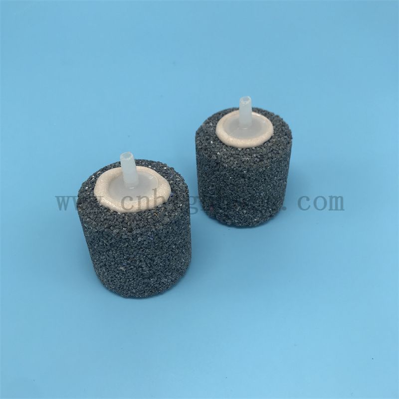 Pierre de poisson-poisson d'aquarium