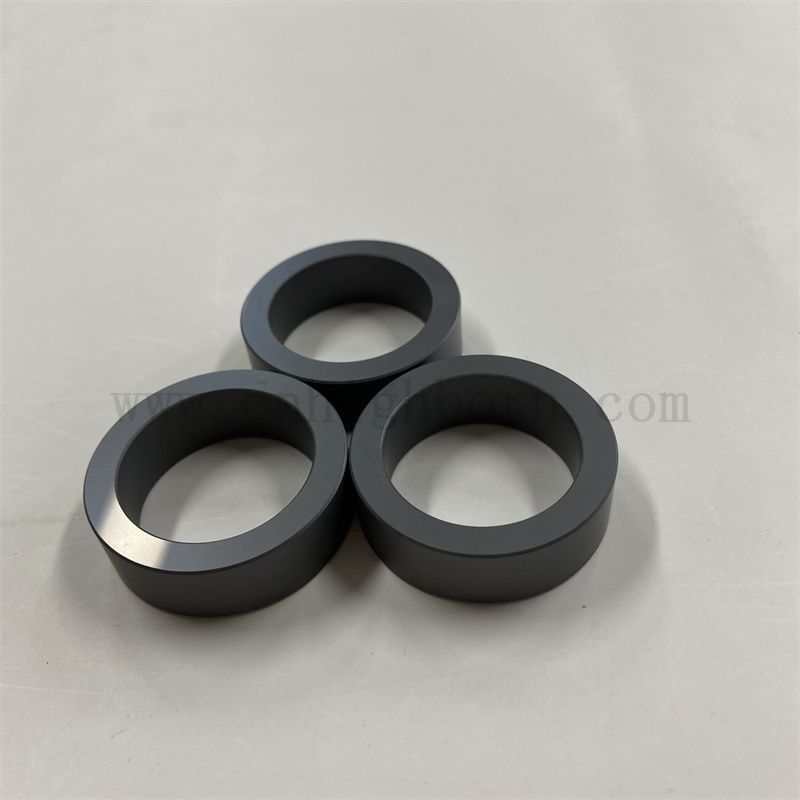 SSIC SCELTER SCELT PART SILICON CARBUDE RINGS CERAMIQUE À FAIBLE FRICTURE