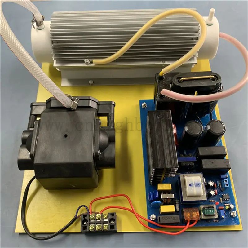 Module de stérilisation du générateur d'ozone multi-fonctionnel 220 V 20g pour le traitement de l'eau 