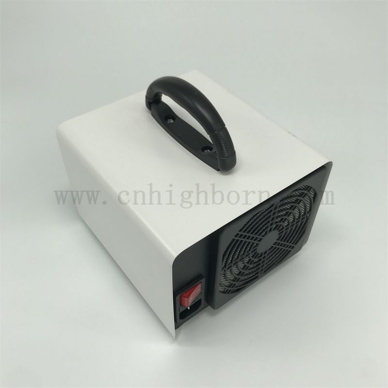 Stériliseur d'ozone portable 110V 10G 20G 28G Purification d'air Générateur de désinfection Ozone Machine Ozonizer