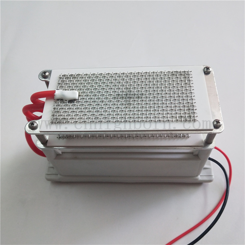 220 V 10g / h Mesh métallique Plaque en céramique MODULE GÉNÉRATEUR OZONE