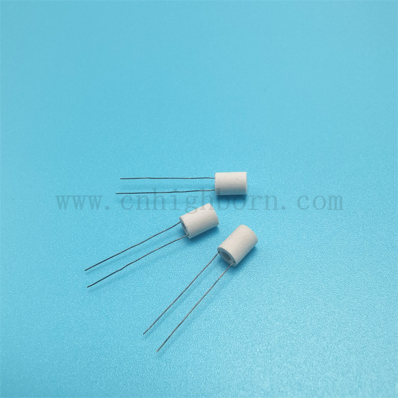 Céramique de cigarette électronique de cigarette électronique de cigarette électronique de cigarette électronique poreuse et adaptée à la cigarette avec plomb