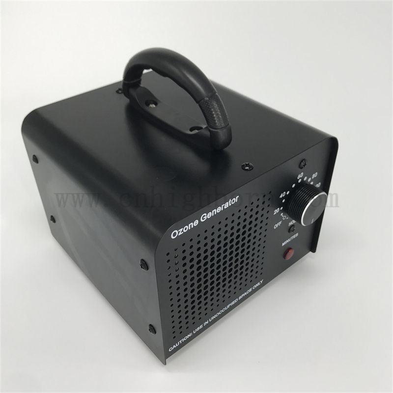 Machine de générateur de désinfection de plaque de céramique remplaçable Ozone 110V 10 000 mg / h Stérilisateur d'ozone refroidi à l'air