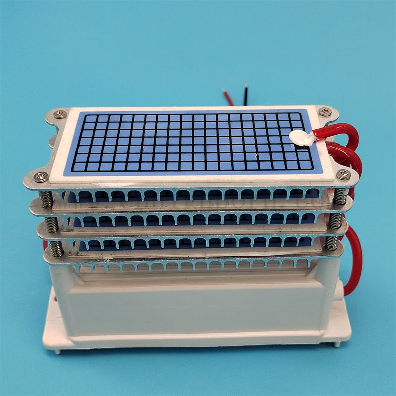 Pièces de rechange Ozone Machine 220V 40g / h 60g / h Plaque en céramique Purificateur d'air du module de générateur Ozonator Purificateur