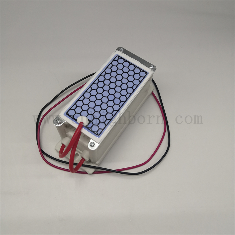 220 V 5G / h Purification d'air Plate de céramique Plaque de céramique Module de générateur d'ozone