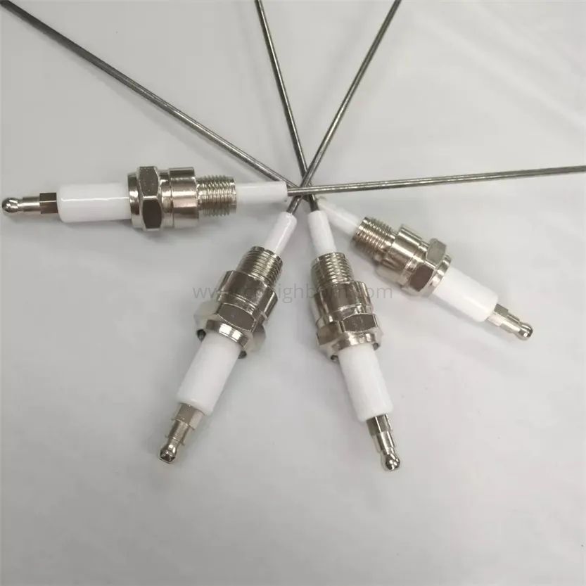 Sonde d'allumeur d'électrode d'allumage de gaz en céramique d'alumine adaptée aux besoins du client